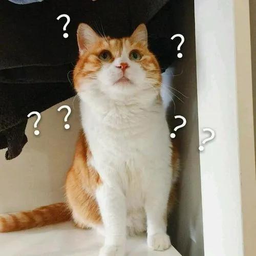 什么仇什么怨的梗,什么仇什么怨视频字幕