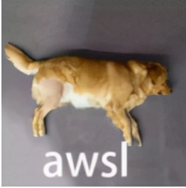 只有留学生才能看懂的“神秘代码”，你知道几个？