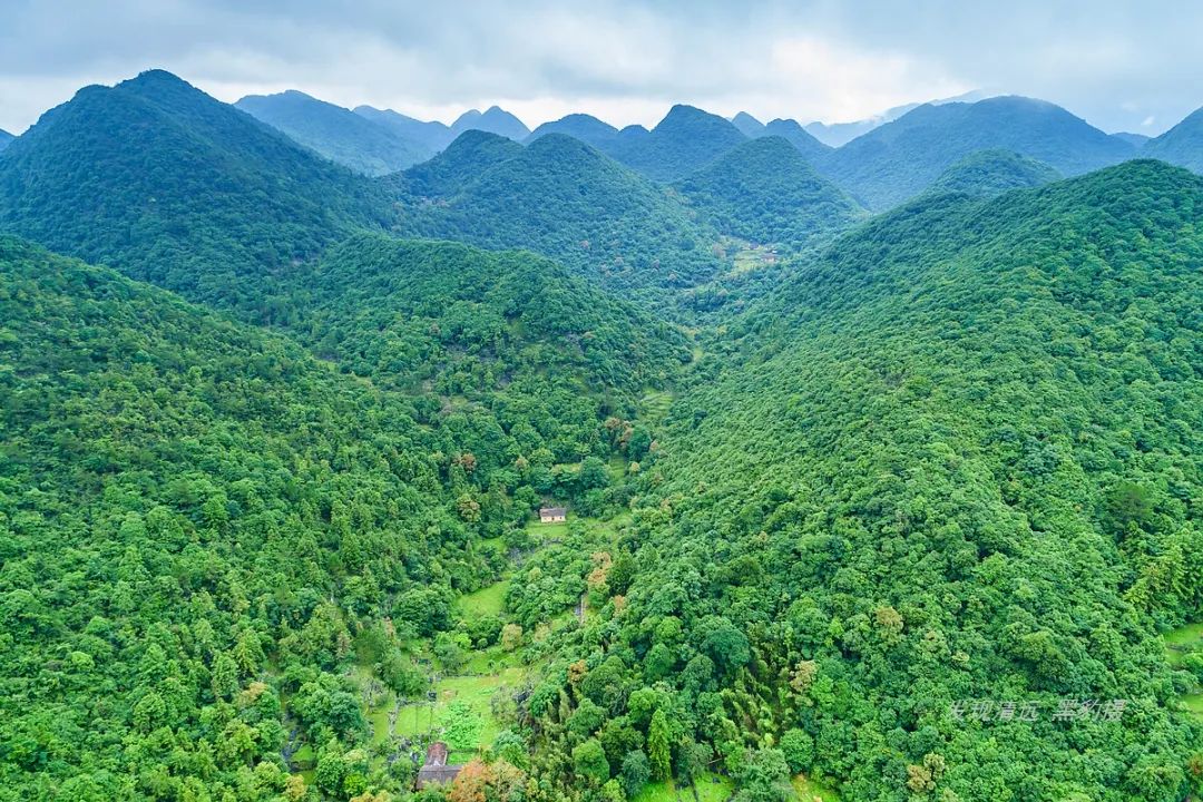 徒步穿越秦岭无人区,徒步穿越喀斯特森林