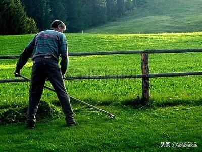 古今中外对劳动者赞美的诗句,赞扬劳动者的经典诗词名句