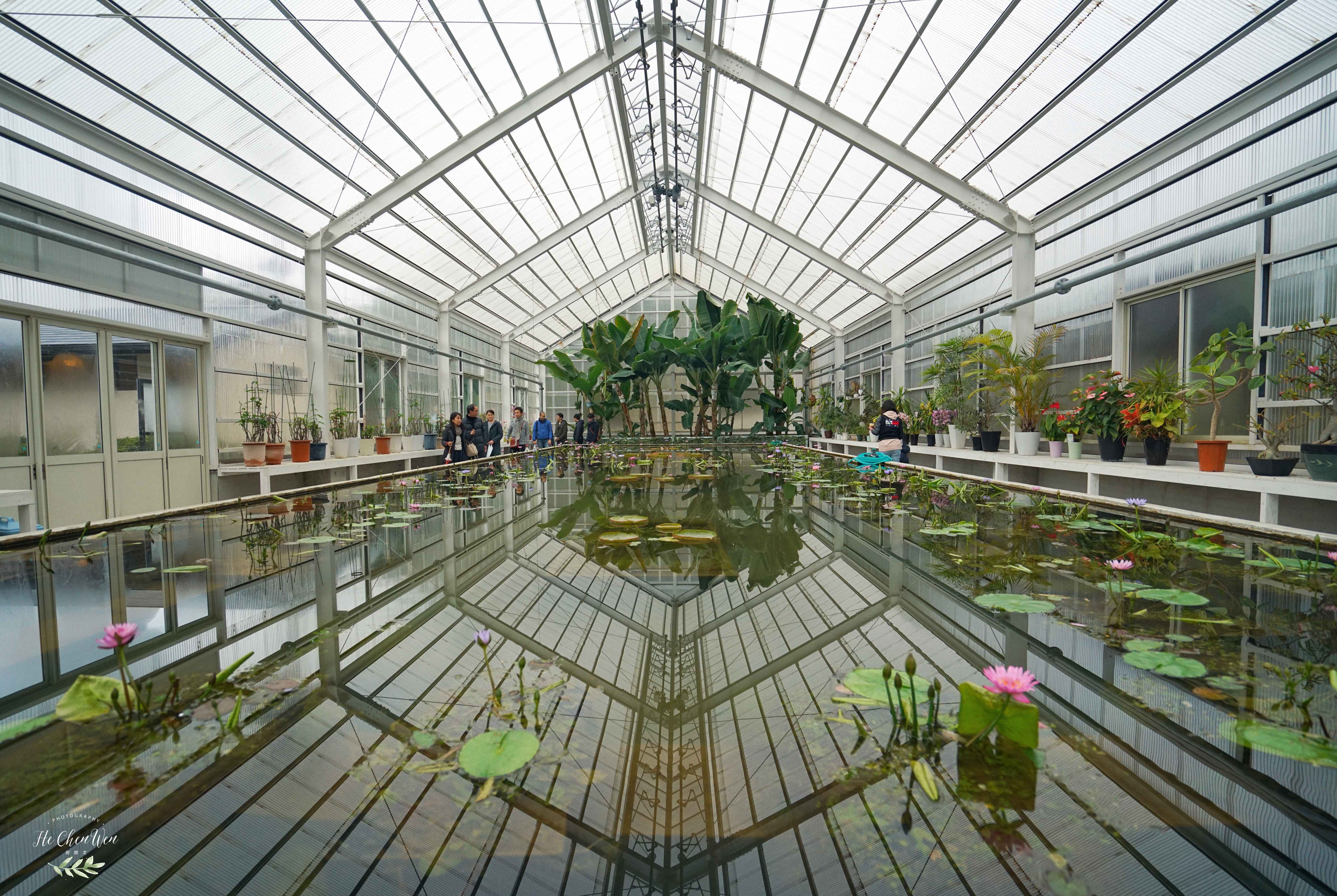 日本地狱温泉排名,日本最不可思议的温泉