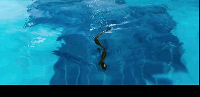 嘿嘿……我就是杀人凶手,你奈我何?韩国电影无尿点系列