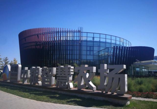 马云致富的预言,马云财富预言