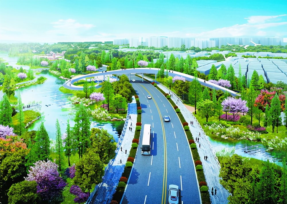 翔安即将开建的大型综合性公园,翔安拟建体育公园