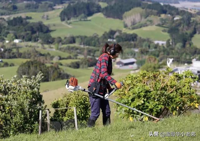 十几年的夫妻感悟,十年的老华人含泪感悟