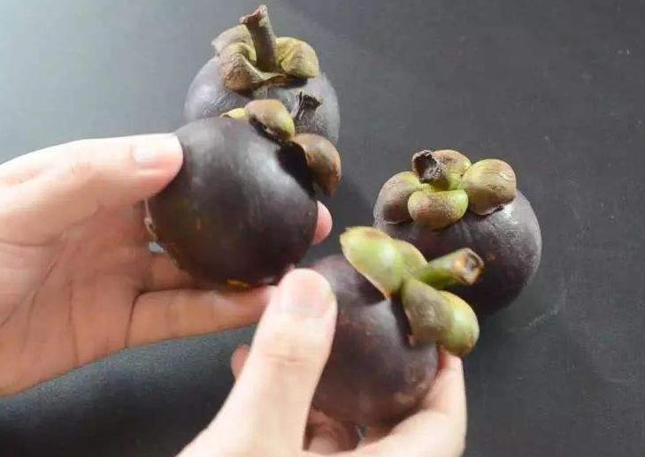 山竹价格为何这么贵,山竹贵又没肉