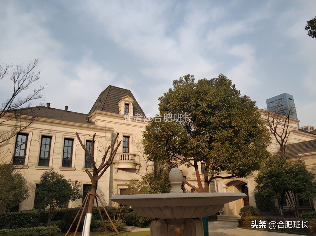 可以传世的房子格局,合肥汤臣一品海景房