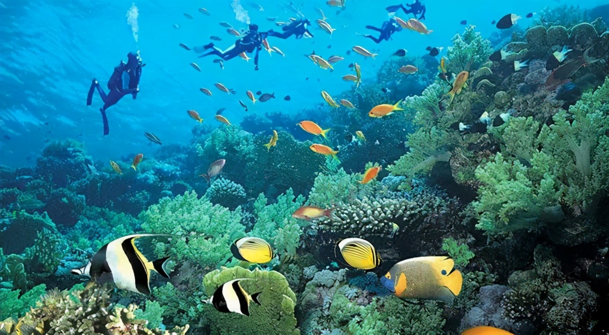 全球最适合蜜月旅行十大海岛,十大海岛度假胜地