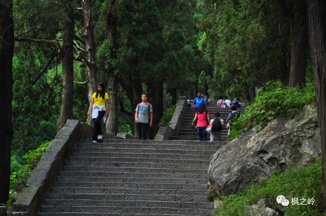 灞变笢鍗拌薄浼樻儬,灞变笢鍗拌薄鍙ゅ煄