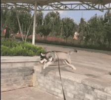 网上买的连衣裙到货了,店家连夜打电话跪求删除好评照片太尴尬了