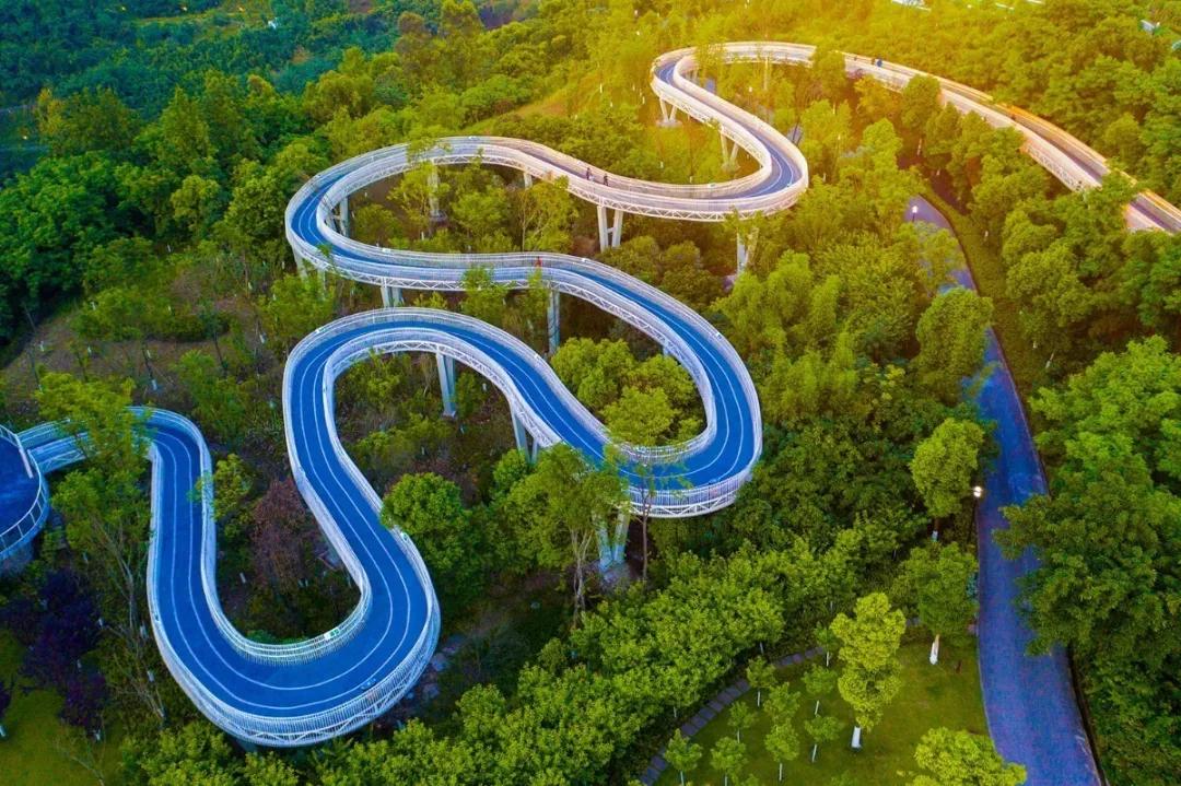 两江智慧之旅,重庆夜游两江经典时间