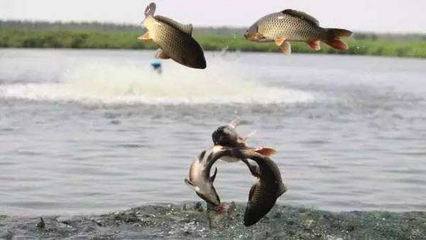 同样的配方同样的感觉,同样的配方为什么价钱不一样