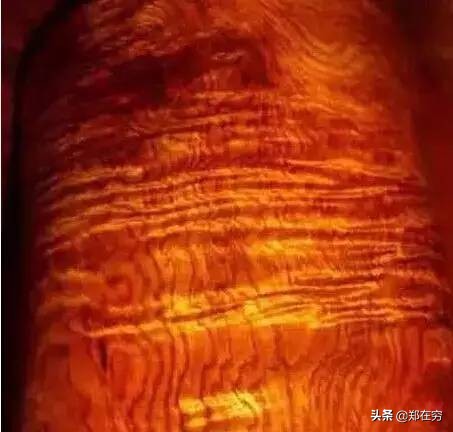 六种常用木材,常见的十种木材