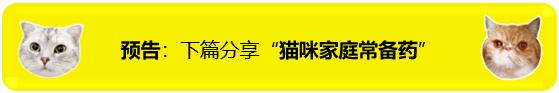 狗狗食欲不振不爱喝水,狗狗换牙期间不爱吃饭怎么办