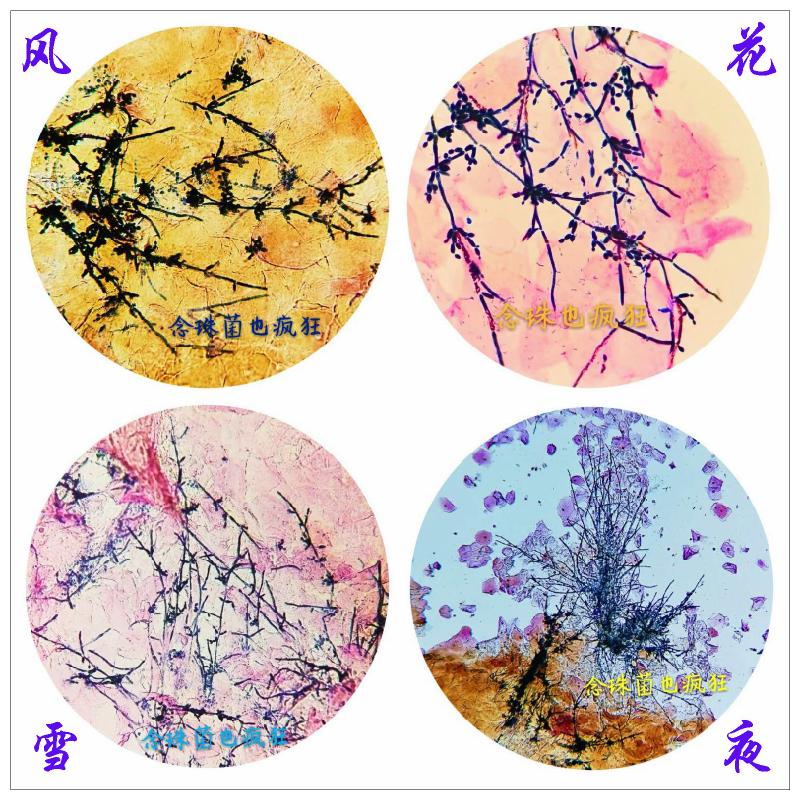 风花雪夜经典故事,风花雪夜意味什么