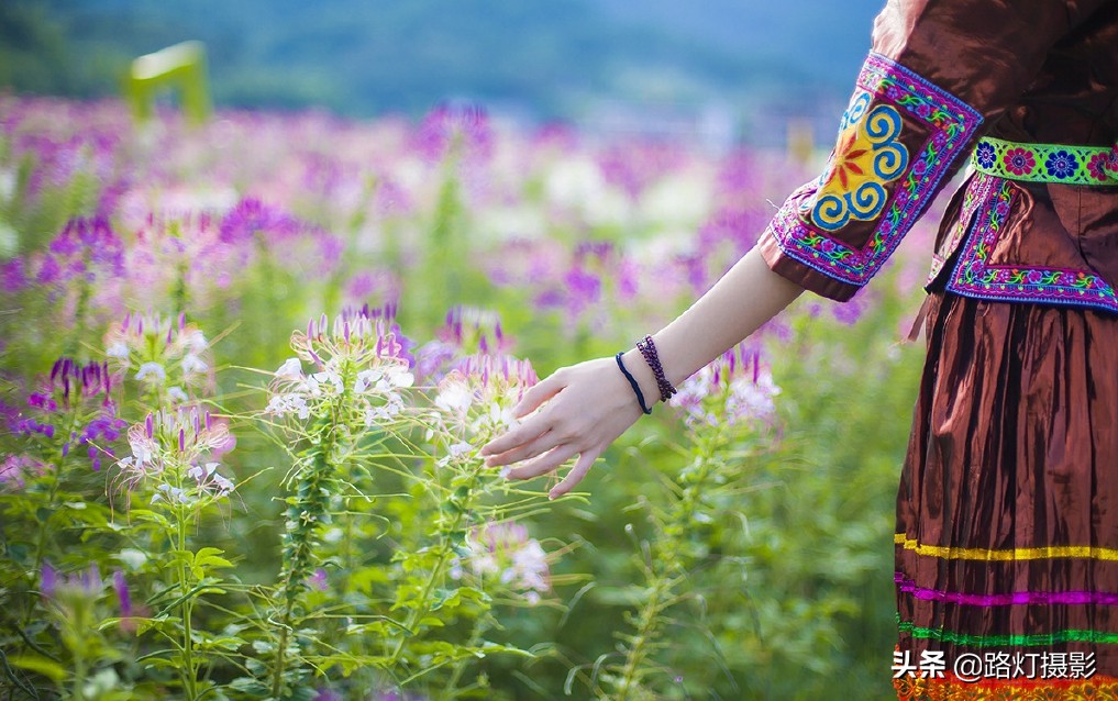 广西最美古镇黄姚古镇,贺州黄姚古镇花海