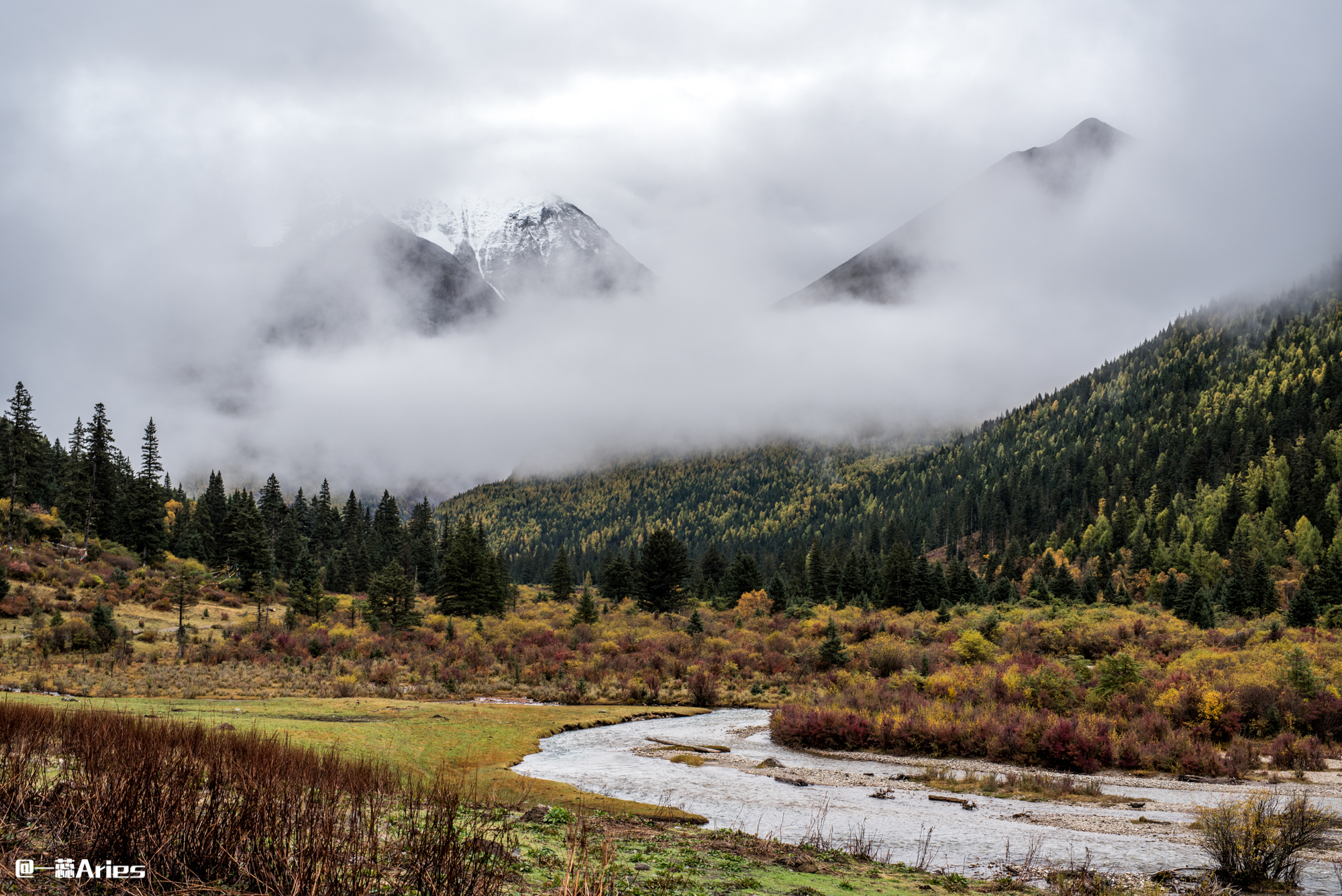 成都周边秋天美到极致的秋色,成都近郊游最美秋色