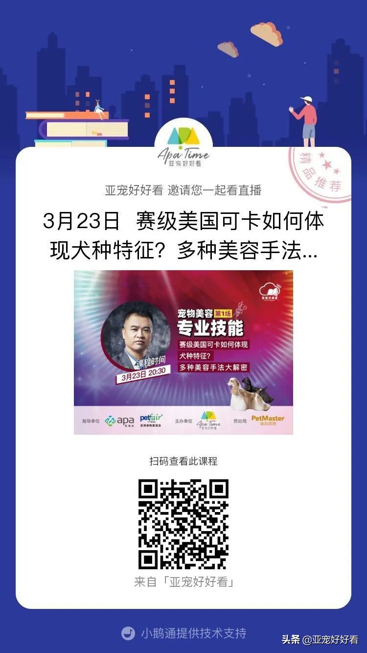 亚宠云课堂,比熊犬赛级妆造型