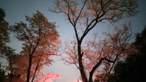 自觉履行岗位职责,职场角色的转变意味着责任和担当