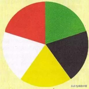 全息望诊大全视频,浅议生物全息律与中医望诊