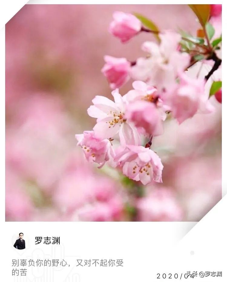 世间最好的感悟就是发现心在微笑,世间最好的感受就是发现心在微笑