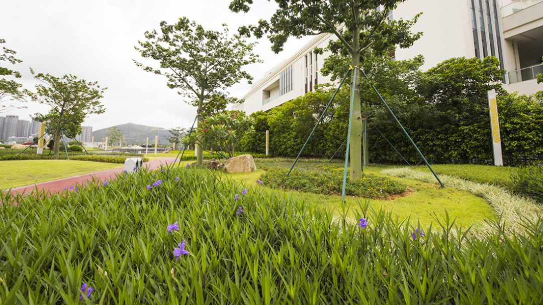 珠海新公园海滨公园,全市首个珠海这个新公园惊艳亮相