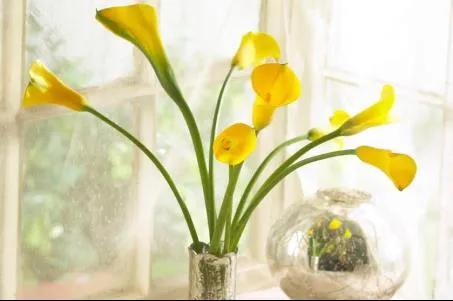 高中语文议论文关于选择,高中必考语文议论文论题大全