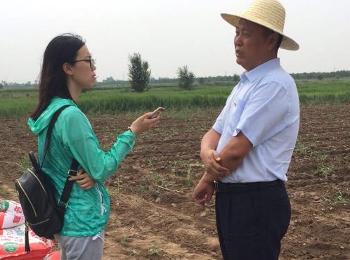 大树底下长草,大树下面长草吗