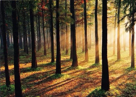 有了这份攻略,上海地铁直达景点