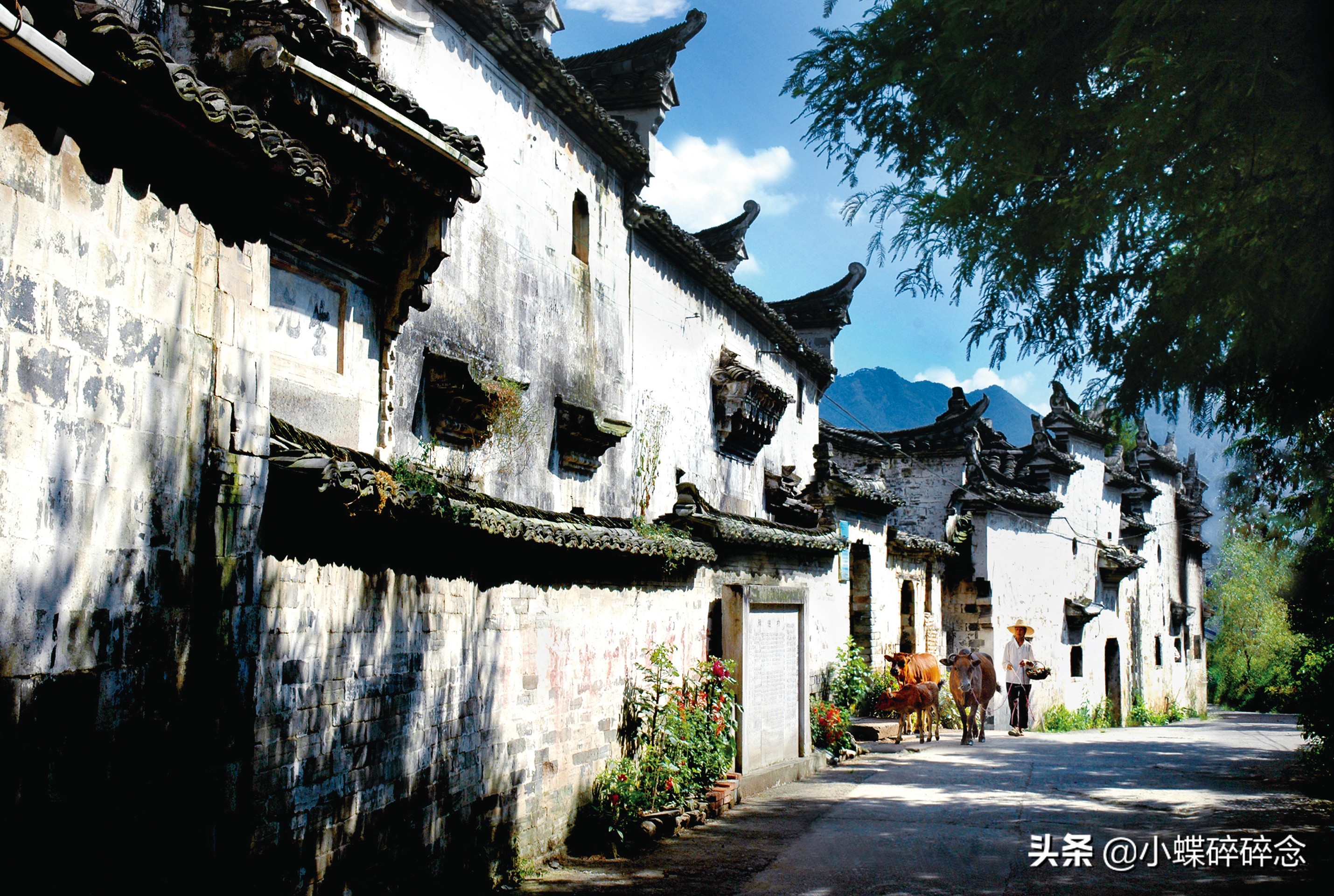 跟我去一趟缙云,告诉你怎样的江南行叫“不虚此行”