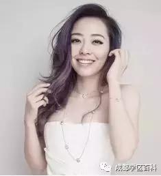 成都学区房锦江二区是哪里,成都锦江二区学区划分图