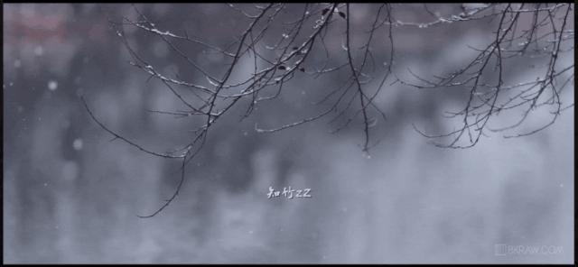 这12个网站，怎么可以这么好看