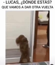 全球各地放松疫情限制,全球各国最新防疫政策