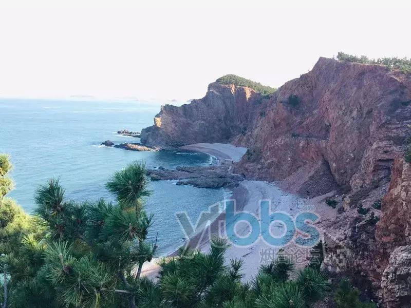 烟台市里人都说自己的街道好！你看对不对！