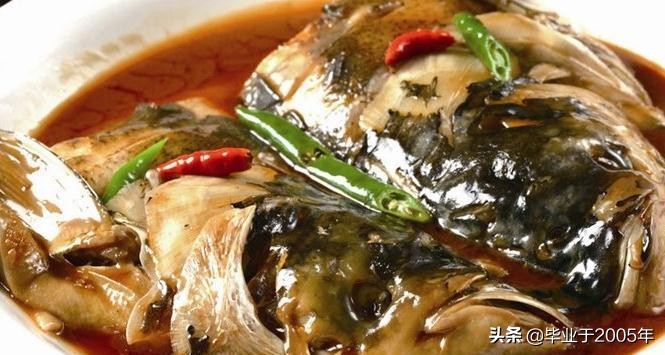 大连近海常见鱼类图鉴,大连哪里可以垂钓淡水鱼