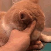 微信聊天如何生成表情包,微信隐藏表情包聊天玩法