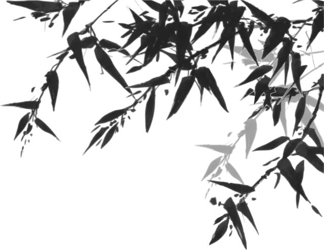 夏天进补生脉饮,冬季润燥生脉饮