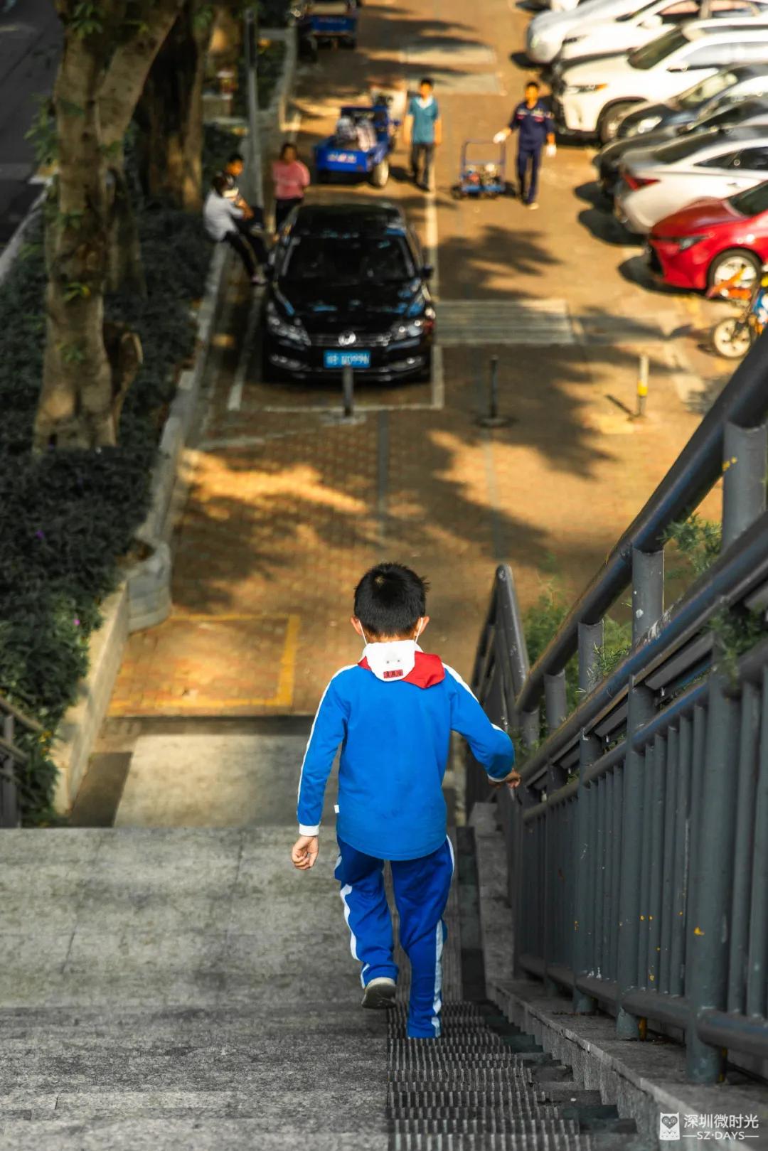 在深圳当老师需要什么学历,在深圳当老师真的好吗