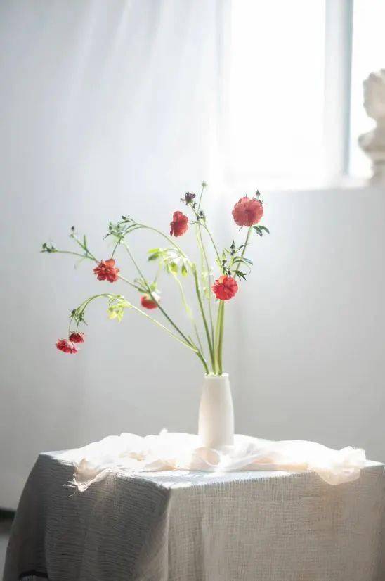 小白新手入手佳能,值得新手入门的佳能