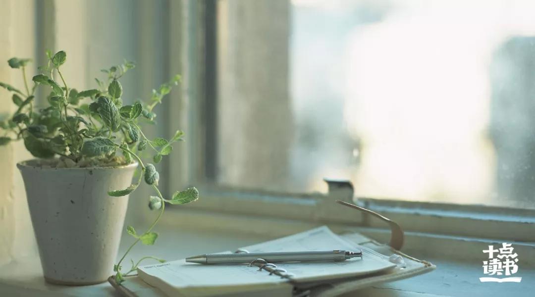 中国超2亿人单身的数据,中国超2亿人单身脱单