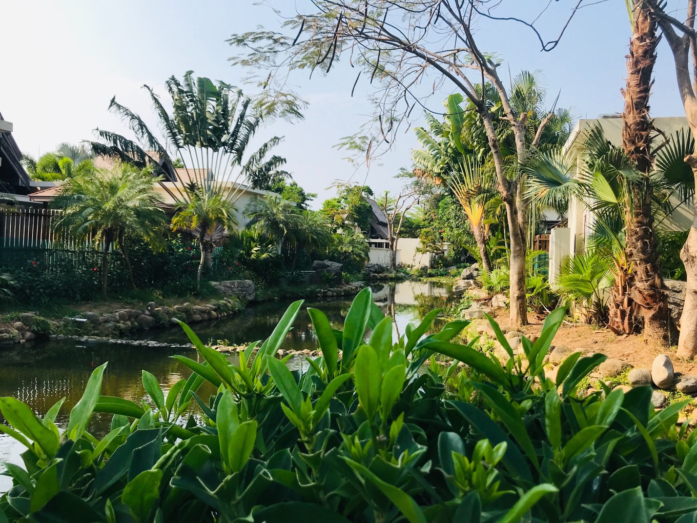 三亚躲台风,三亚避寒15天游玩攻略