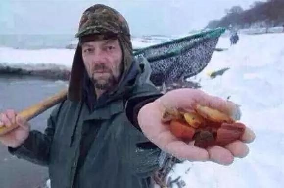 老蜜蜡与新蜜蜡区别是什么,老蜜蜡和新蜜蜡的区别图片