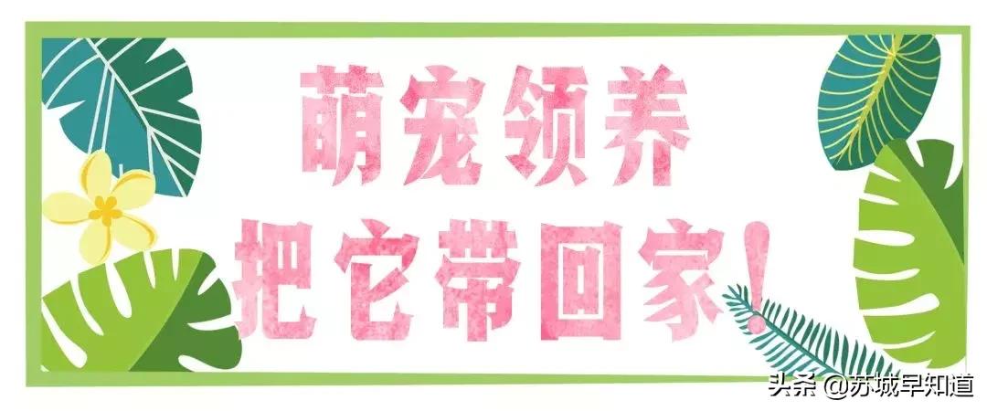 苏州市平江区万达广场,苏州平江万达广场