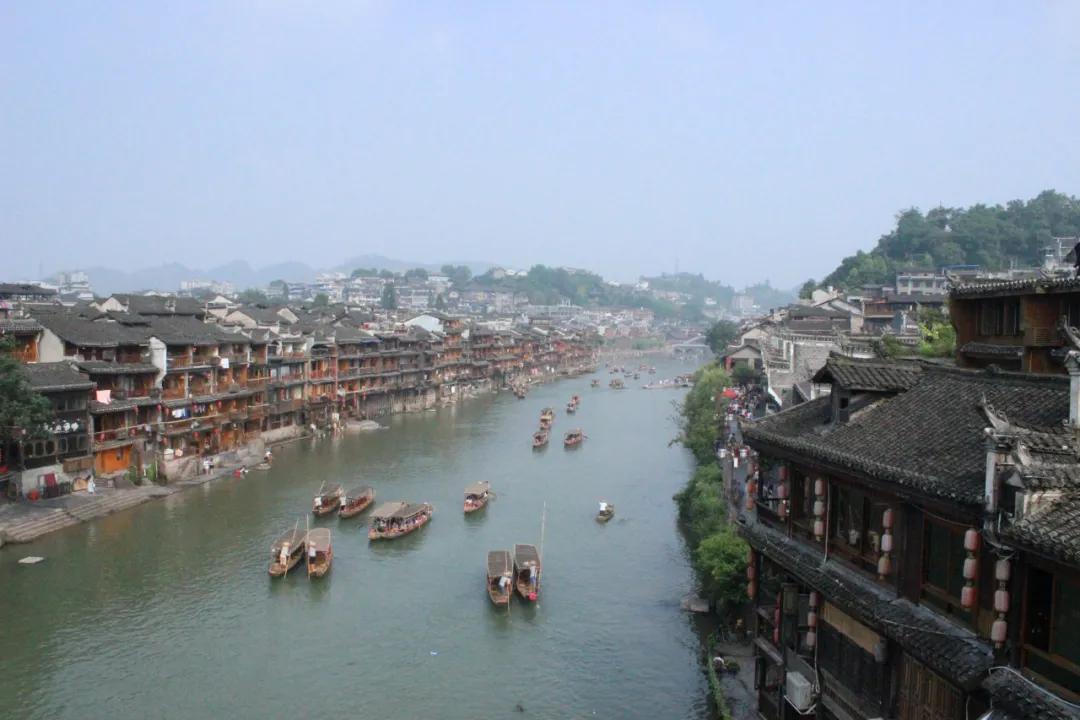 鸟语花香经典诗词,只闻花香不争朝夕诗句