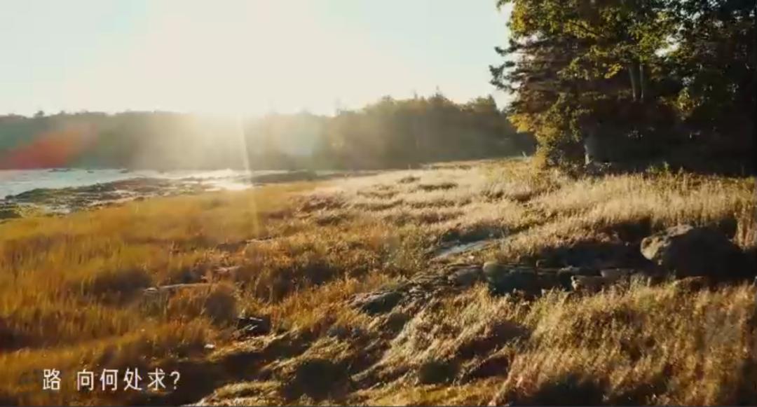 最佳案例知乎,2021知乎答案