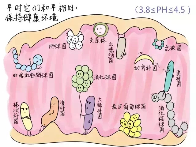 女性妇科微生物,女性微生物失衡