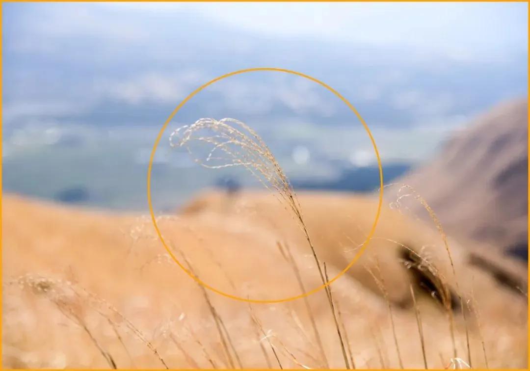 基础拍照构图教学,基础拍风景构图方法和技巧