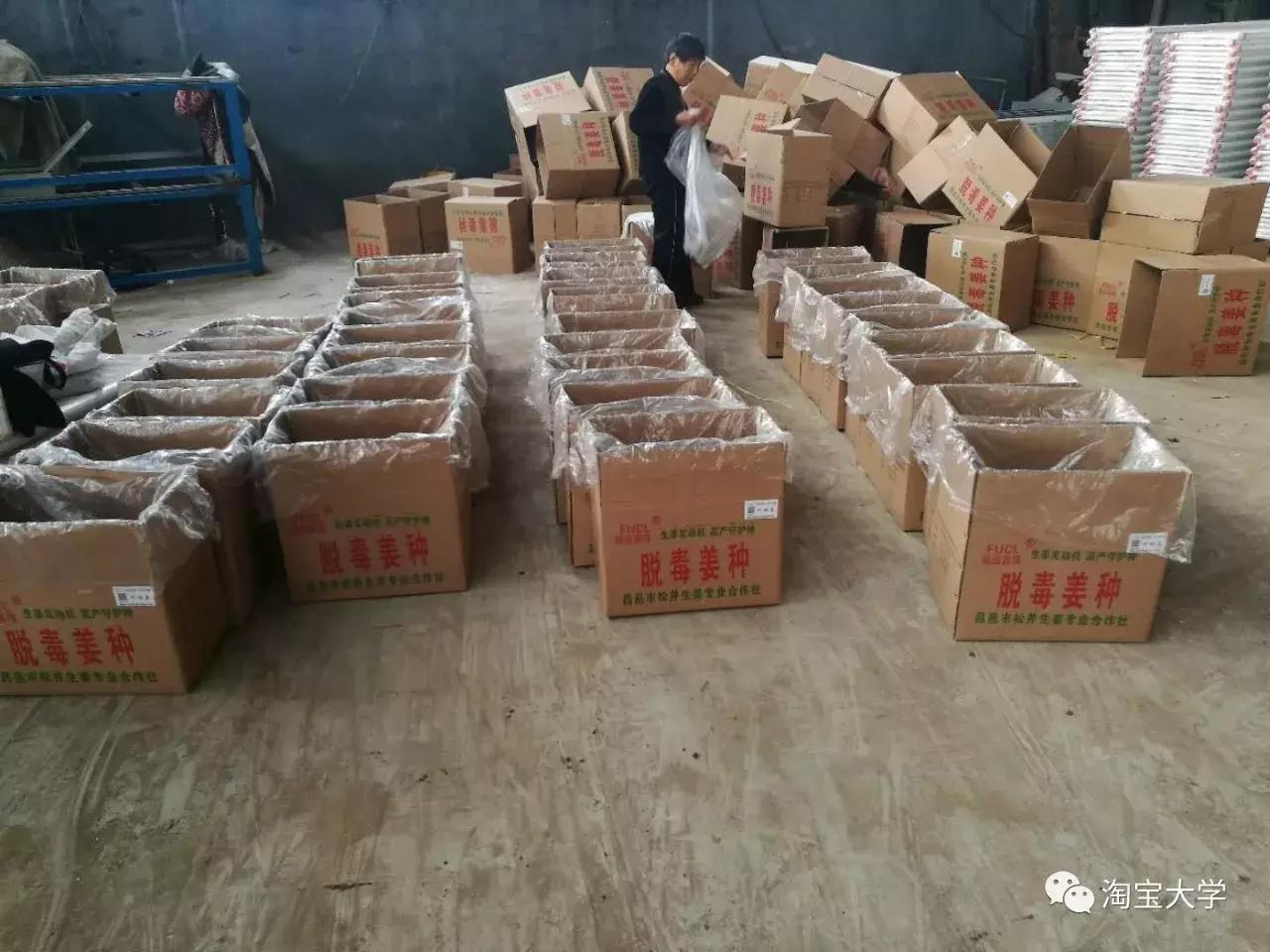 他网上卖的生姜老外买了都说好，轻轻松松三百万