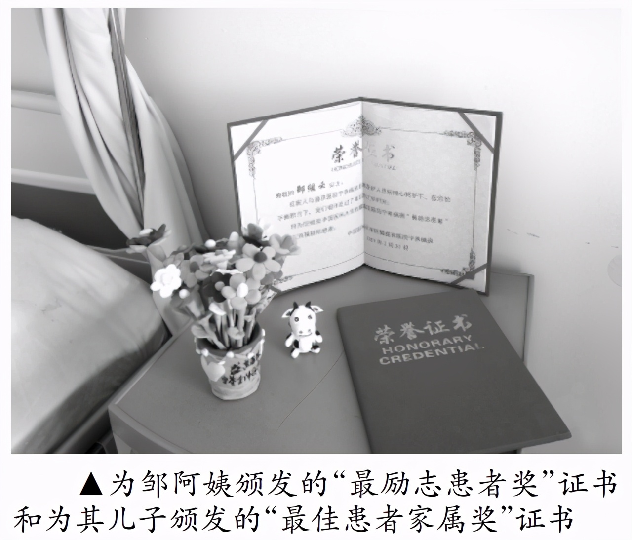 特别关注现场版完整版,特别关注栏目设置