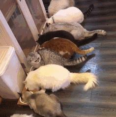 为啥加油站月薪两千还没人辞职,加油站上班工作强度大吗累吗